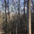 450 Holder Cemetery Rd - Photo 4