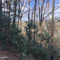 450 Holder Cemetery Rd - Photo 5