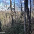 450 Holder Cemetery Rd - Photo 6