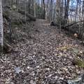 450 Holder Cemetery Rd - Photo 9