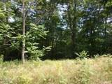 Lot 254 Marble Point Way - Photo 1