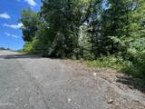 lot 37 Pinnacle Lane - Photo 3