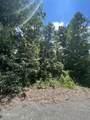 lot 37 Pinnacle Lane - Photo 5