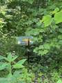 lot 37 Pinnacle Lane - Photo 7