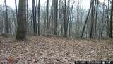  Hagan Rd - Photo 14
