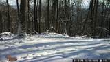  Hagan Rd - Photo 6