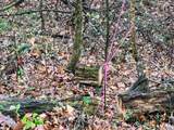 Lot 7 Butler Rd - Photo 7
