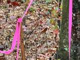 Lot 7 Butler Rd - Photo 9