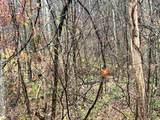 Lot 8 Butler Rd - Photo 6