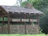  Green Ridge Trails (Lot 48) - Photo 7