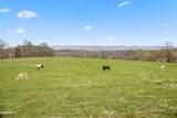  Country Oaks Lane - Photo 52