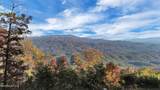Tract 29R4 Chilhowee Mountain Tr - Photo 1