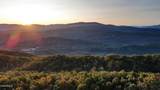Tract 29R4 Chilhowee Mountain Tr - Photo 6