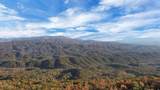 Tract 29R5 Chilhowee Mountain Tr - Photo 1