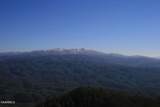 Tract 29R5 Chilhowee Mountain Tr - Photo 11