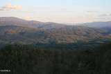 Tract 29R5 Chilhowee Mountain Tr - Photo 16