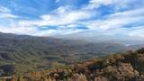 Tract 29R5 Chilhowee Mountain Tr - Photo 2