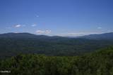 Tract 29R5 Chilhowee Mountain Tr - Photo 21