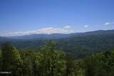 Tract 29R5 Chilhowee Mountain Tr - Photo 24