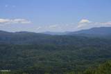 Tract 29R5 Chilhowee Mountain Tr - Photo 27