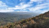Tract 29R5 Chilhowee Mountain Tr - Photo 3