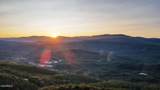 Tract 29R5 Chilhowee Mountain Tr - Photo 5