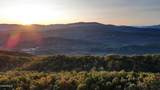 Tract 29R5 Chilhowee Mountain Tr - Photo 6