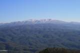 Tract 29R5 Chilhowee Mountain Tr - Photo 8