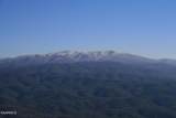Tract 29R5 Chilhowee Mountain Tr - Photo 9