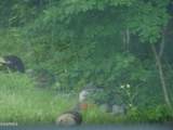  Mica Court Lot #160 - Photo 28
