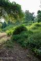 3696 Crown Point Rd - Photo 5