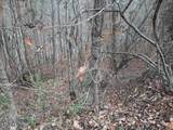  Old Hearth Dr. - Photo 5