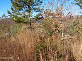  Twin Feathers Dr - Photo 14