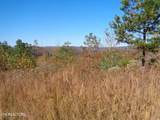  Twin Feathers Dr - Photo 16
