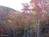  Green Ridge Trail - Lot #2 - Photo 3