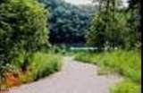 lot 9 Jones Ridge Rd - Photo 14