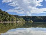 36.9 Acres Winningham Rd - Photo 1