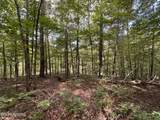 36.9 Acres Winningham Rd - Photo 10