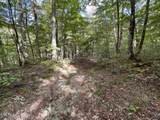 36.9 Acres Winningham Rd - Photo 11