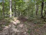 36.9 Acres Winningham Rd - Photo 12