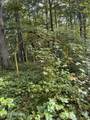 36.9 Acres Winningham Rd - Photo 13
