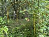 36.9 Acres Winningham Rd - Photo 15