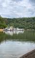 36.9 Acres Winningham Rd - Photo 16