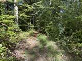 36.9 Acres Winningham Rd - Photo 18