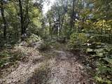 36.9 Acres Winningham Rd - Photo 19