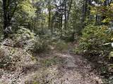 36.9 Acres Winningham Rd - Photo 20