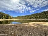 36.9 Acres Winningham Rd - Photo 5