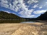 36.9 Acres Winningham Rd - Photo 6