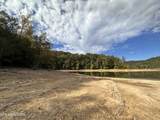 36.9 Acres Winningham Rd - Photo 7
