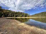 36.9 Acres Winningham Rd - Photo 8